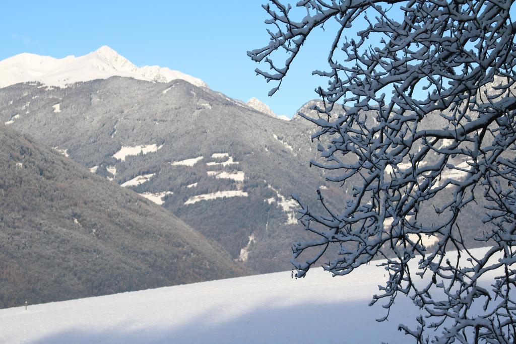 Alpin Lodge St. Andrae Bressanone Kültér fotó